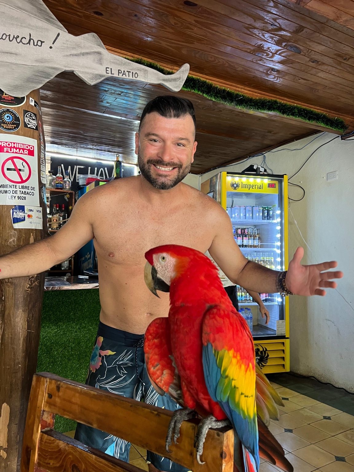 Colorful macaw perched with a guest